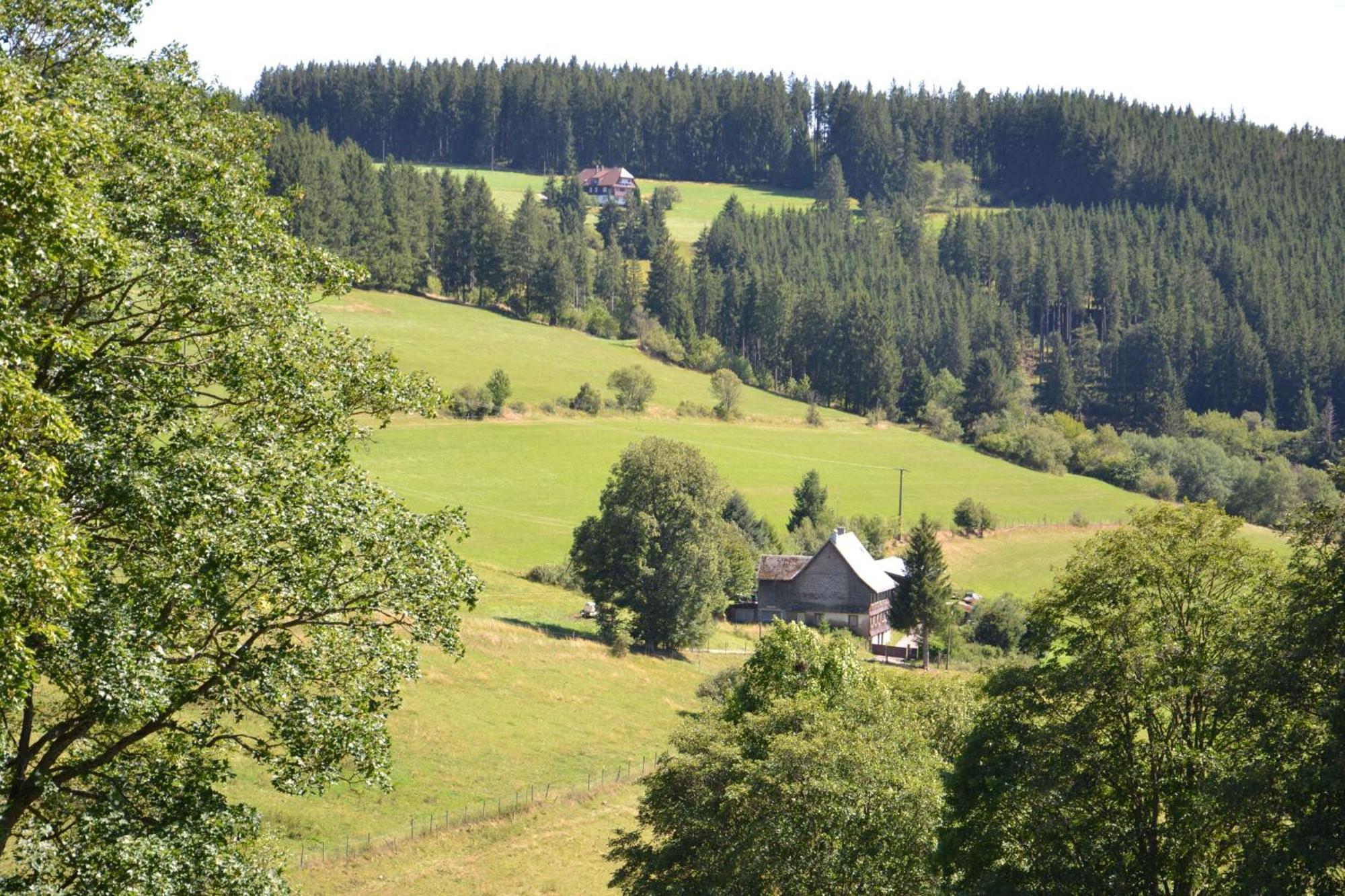 Ferienwohnung Beim Pauli Titisee-Neustadt Eksteriør bilde